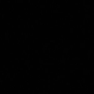 Meet your Posher, Jace